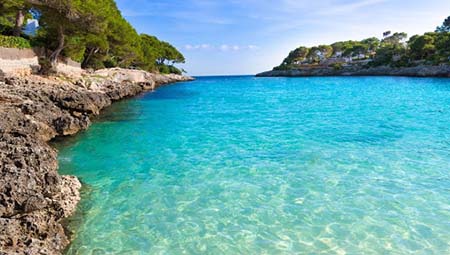 Transfer Cala Dor