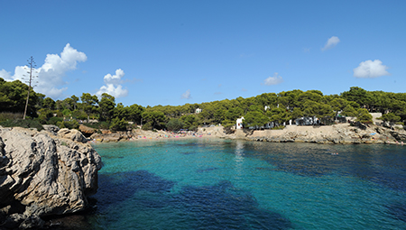Transfer Cala Ratjada